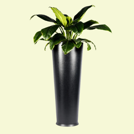 Duafe Planter Series