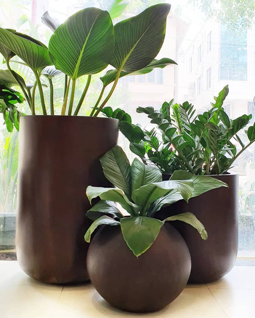 SD Composites FRP Planters — Fofoo and Duafe Collections